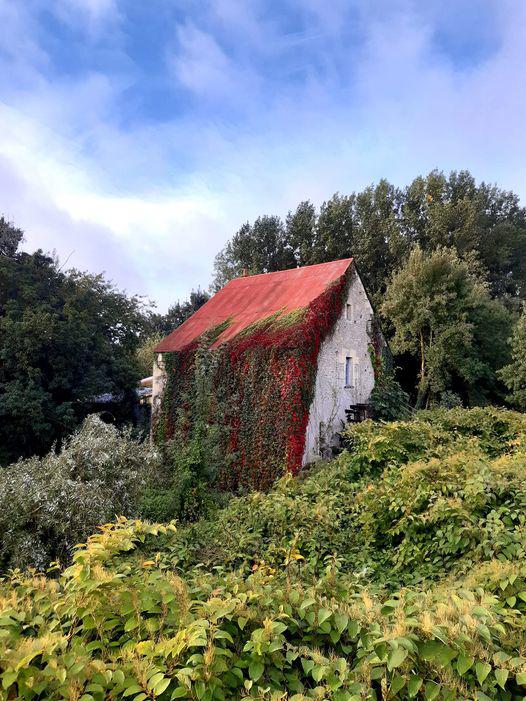 moulin rouge et vert